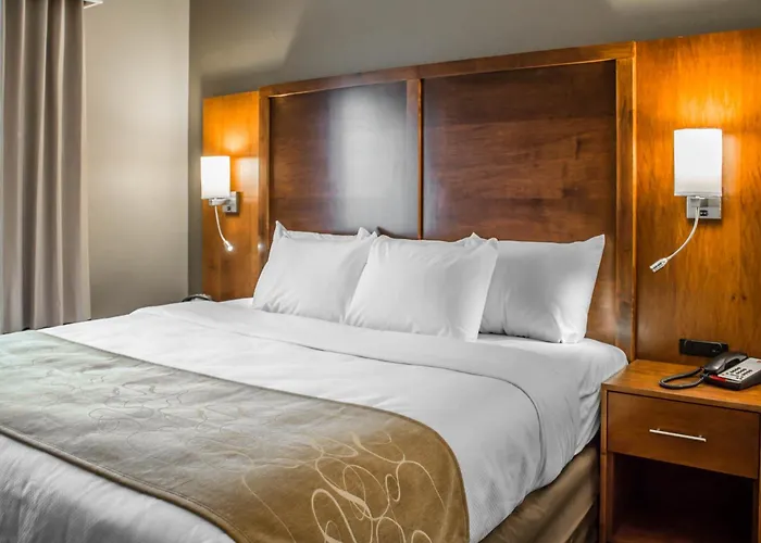 Comfort Suites Hartville-North Canton